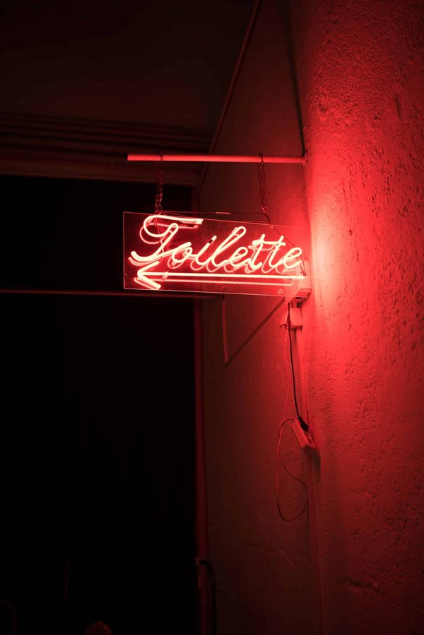 Quelles sont les meilleures pratiques pour l'entraînement aux toilettes d'un potamochère?